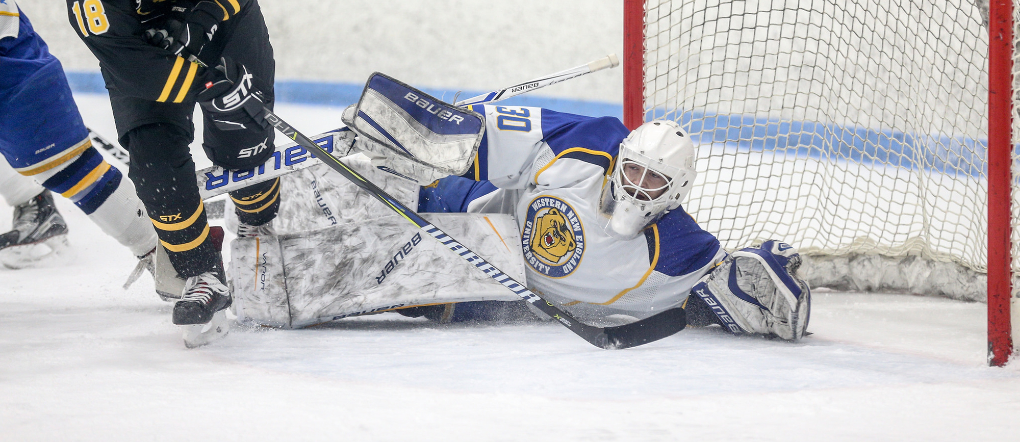 Baylee Johns made 22 saves in Western New England's 4-0 loss to Nichols on Saturday. (Photo by Chris Marion)