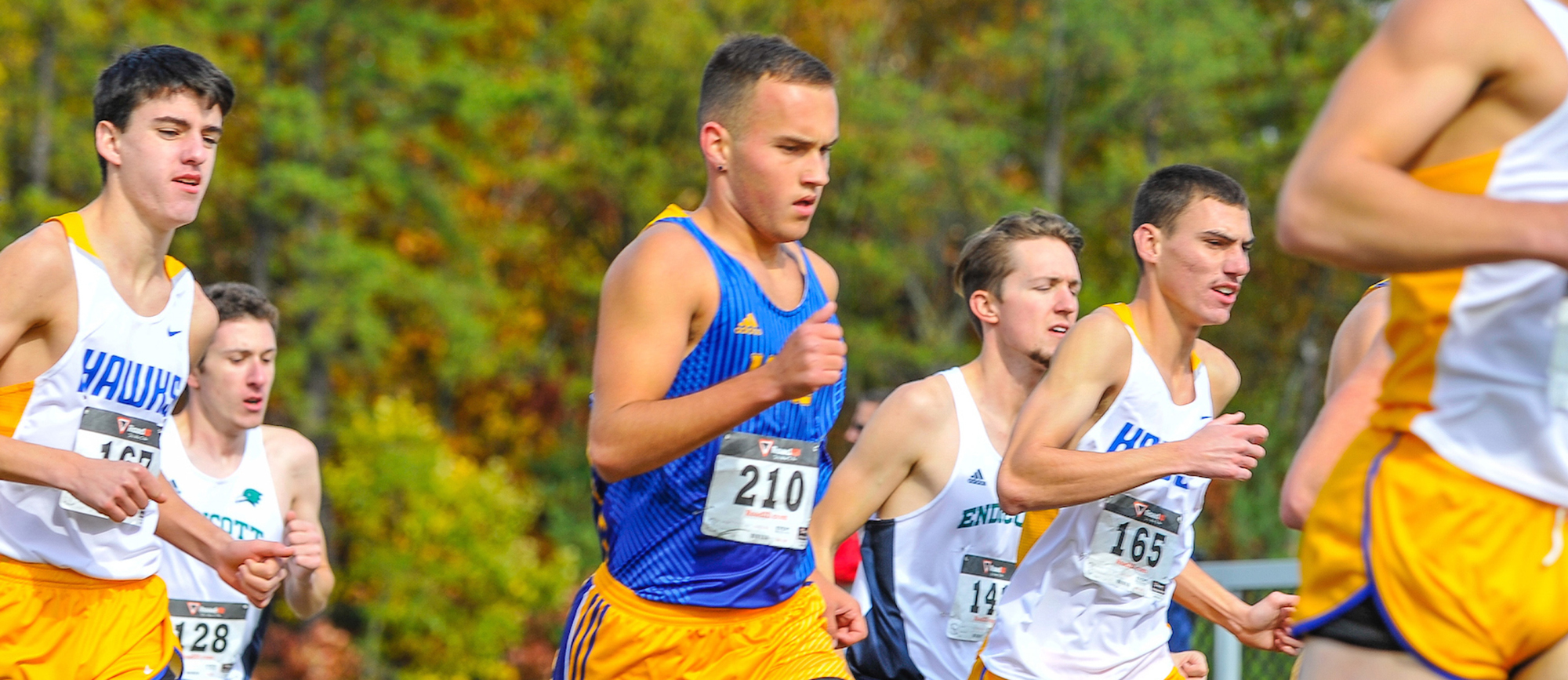 Senior Nico Gallo placed 47th (30:58) in his return to the WNE lineup on Saturday at the Jim Sheehan Memorial Invitational. (Photo by Bill Sharon/Spartan Sportshots)