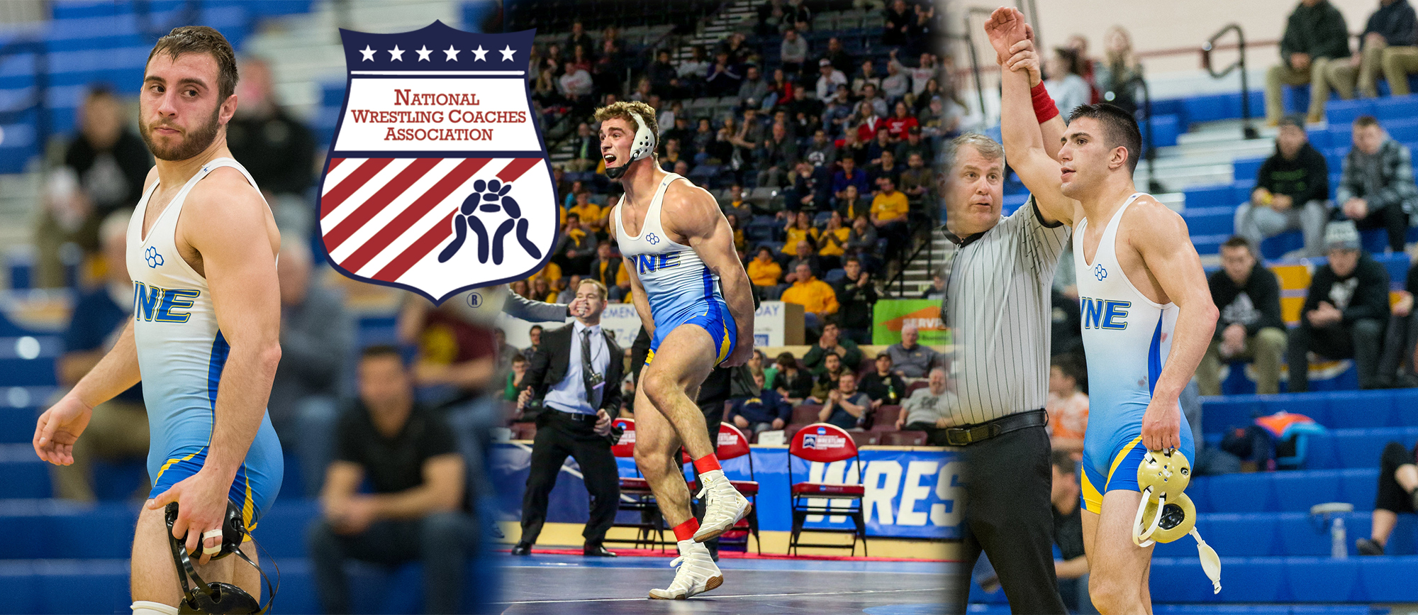 Three Golden Bears Featured in Latest National Wrestling Coaches Association National Rankings
