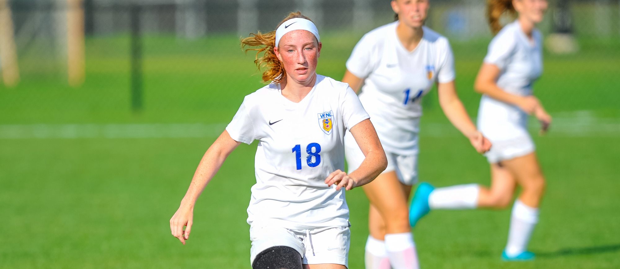 Big Second Half Sends Wentworth to 3-0 Win over Western New England