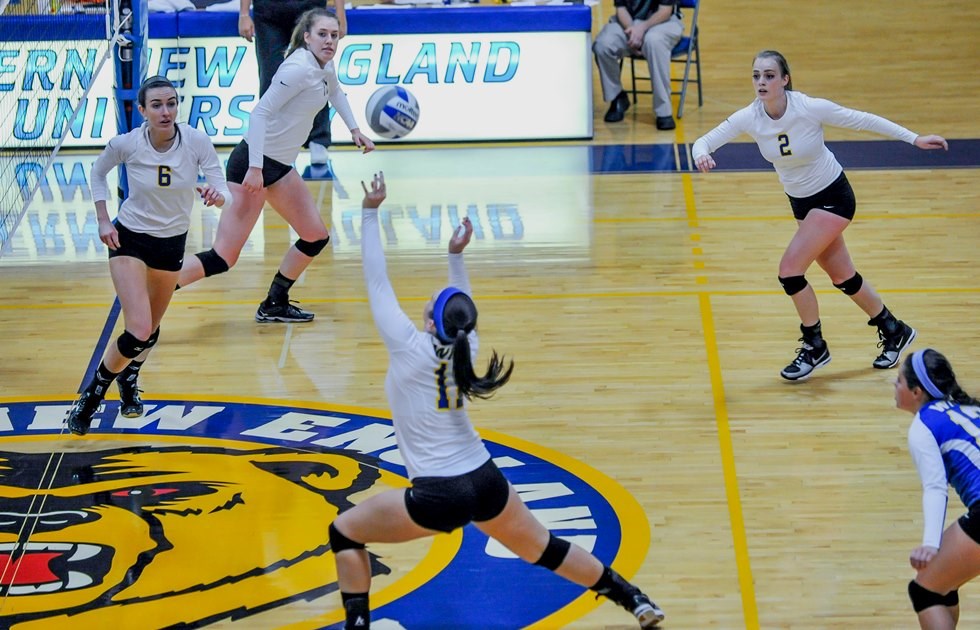 Hawks stop Golden Bears 3-0 to stay undefeated in Commonwealth Coast Conference