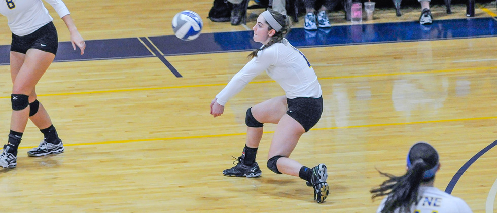 Volleyball Drops 3-1 Decisions to Endicott, Colby