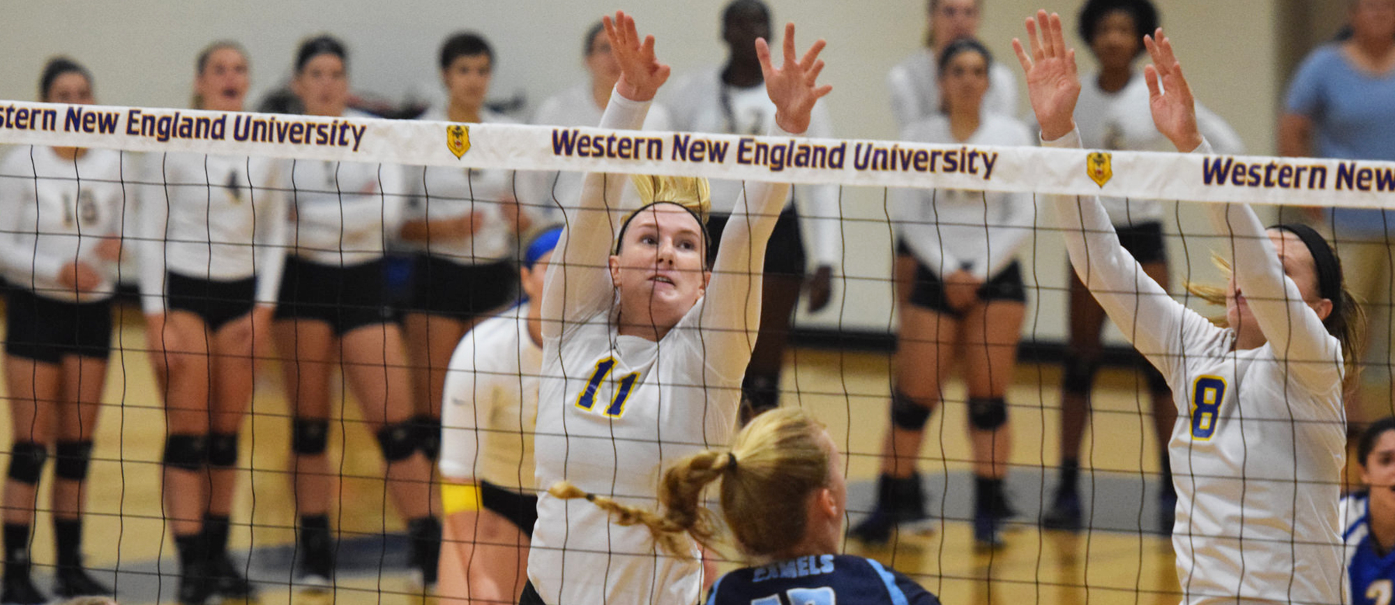 Junior Cassie Holmes recorded six kills and three blocks in Western New England's 3-0 loss to Keene State on Thursday. (Photo by Rachael Margossian)