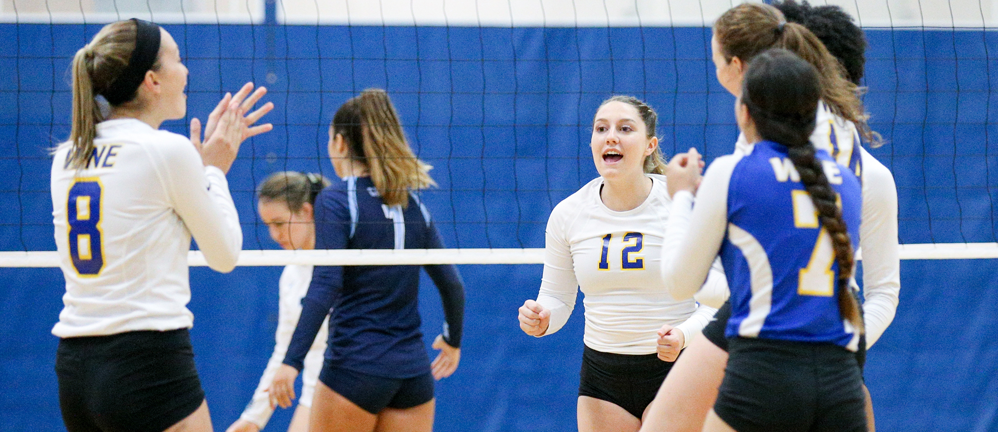 Western New England rolled to its first sweep of the season against Nichols on Tuesday night. (Photo by Chris Marion)