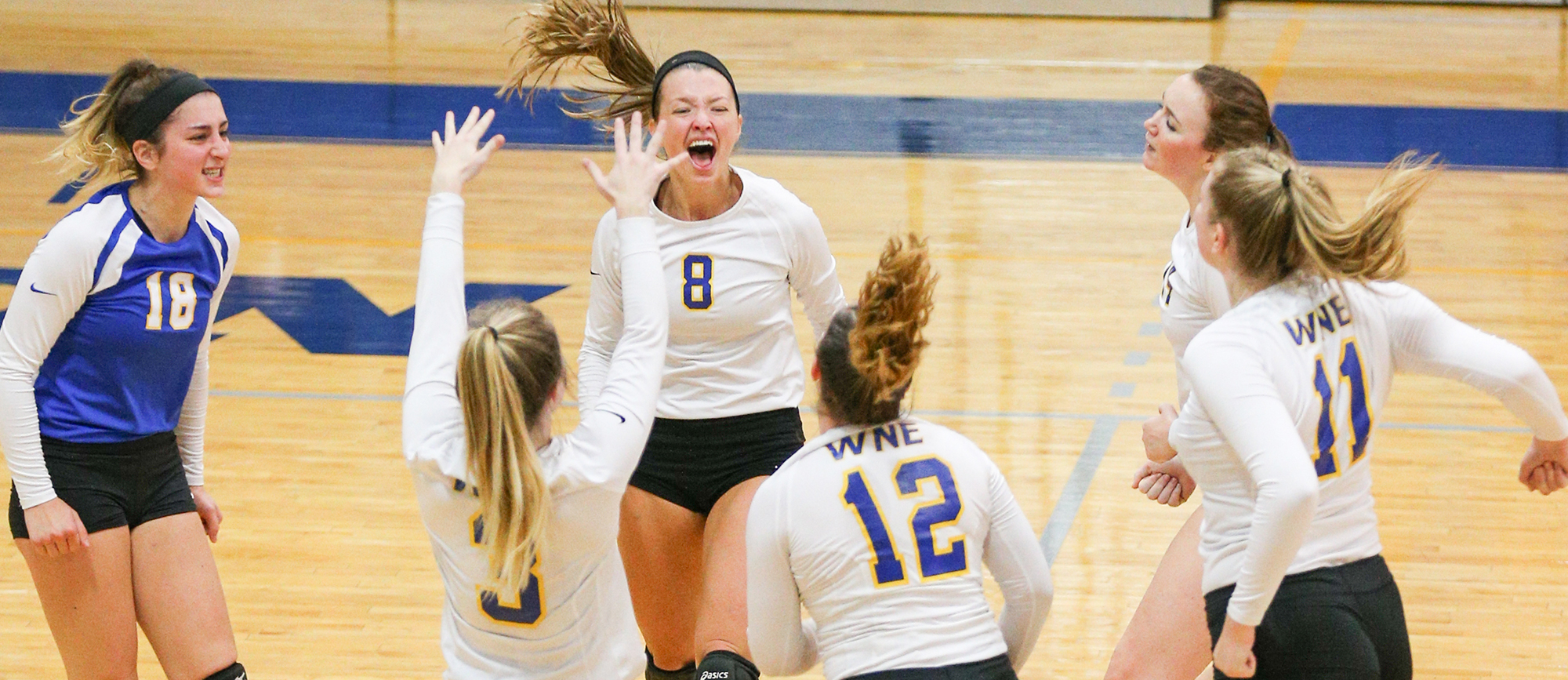 Western New England rallied from a 2-0 set deficit to defeat Emmanuel 3-2 on Thursday evening. (Photo by Chris Marion)