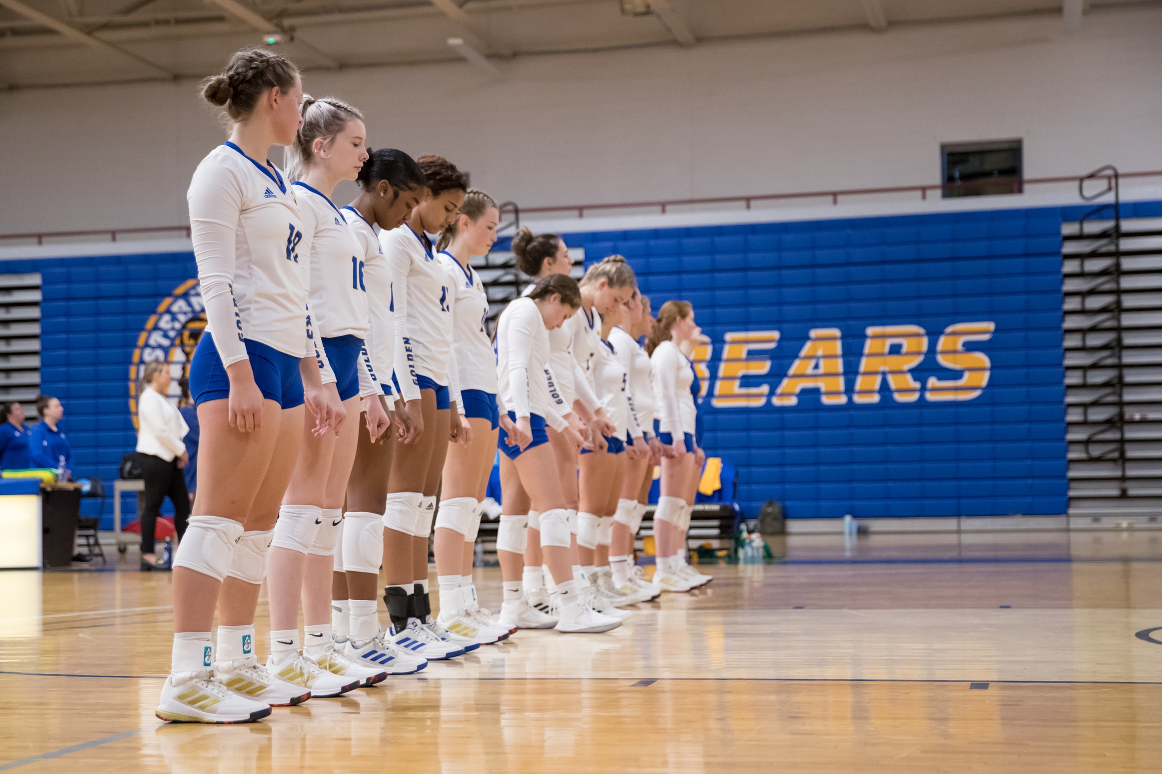 Golden Bears Volleyball Falls to Endicott in CCC Semifinals