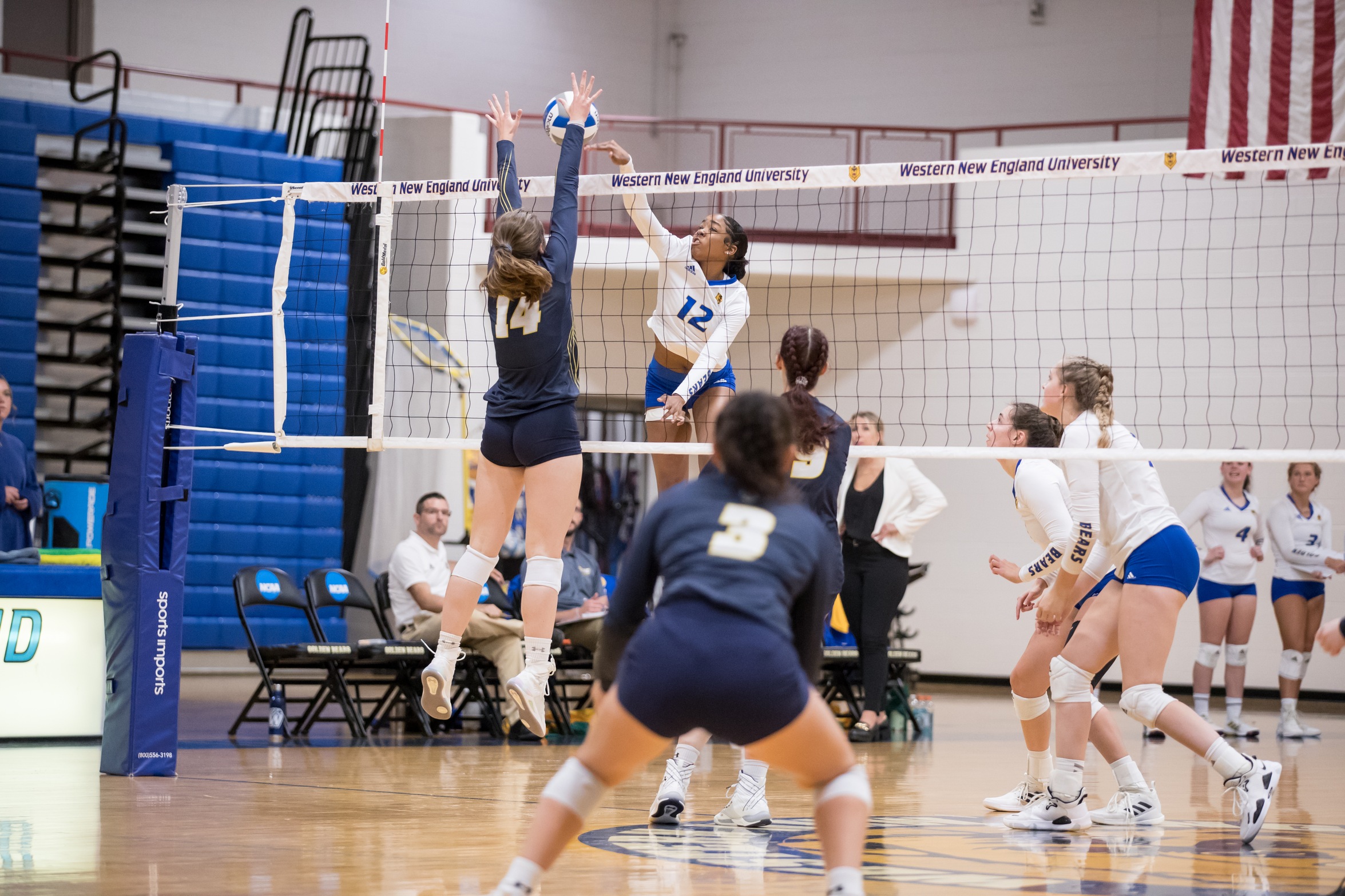 WNE Volleyball Picks Up Crucial CCC Win