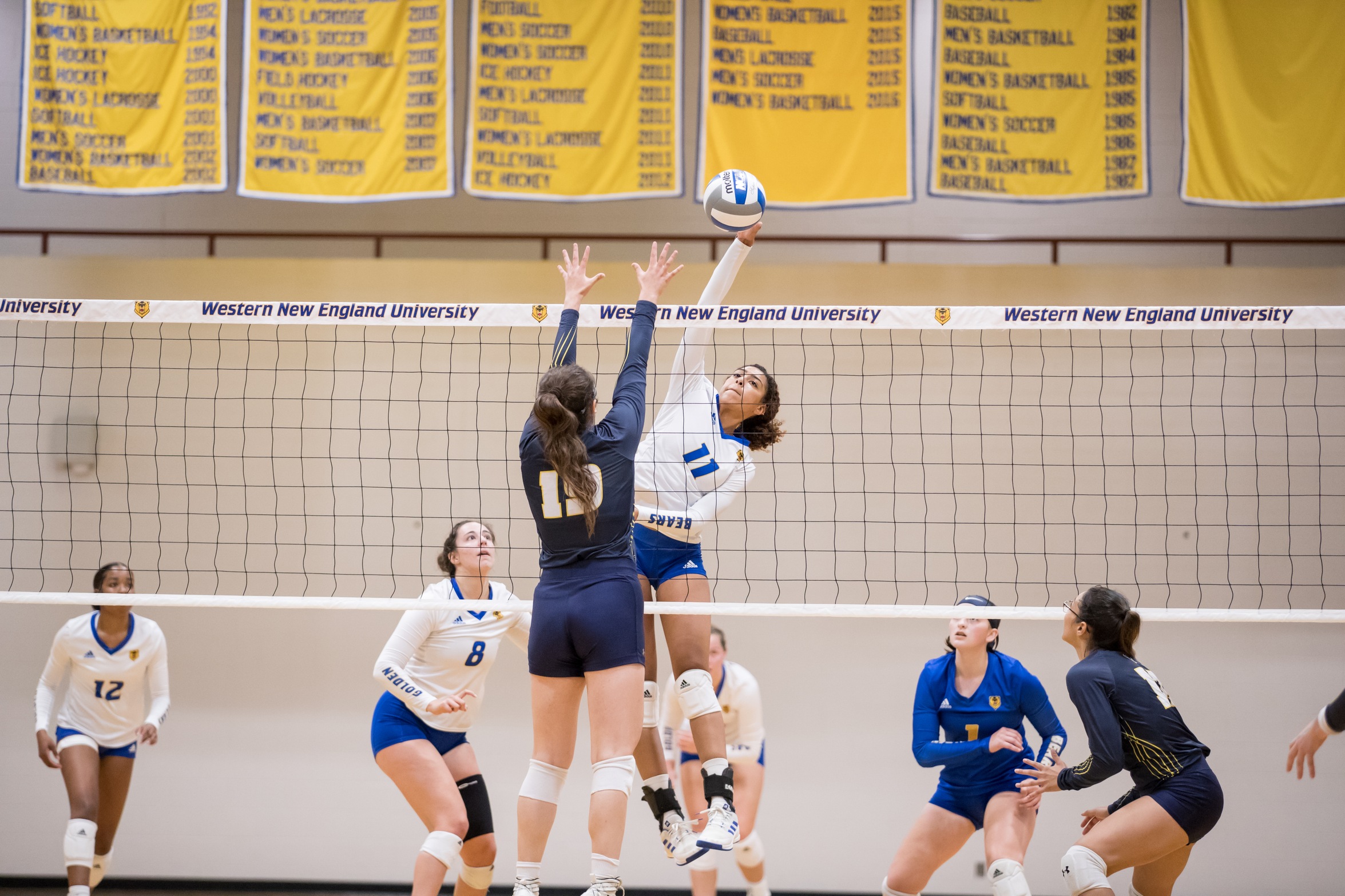 Golden Bear Volleyball Goes 1-1 in Tri-Match