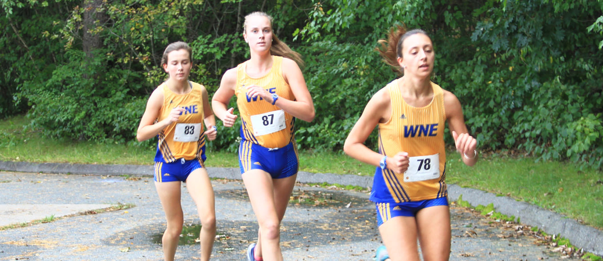 Townsend Leads Golden Bears at Western New England Invitational