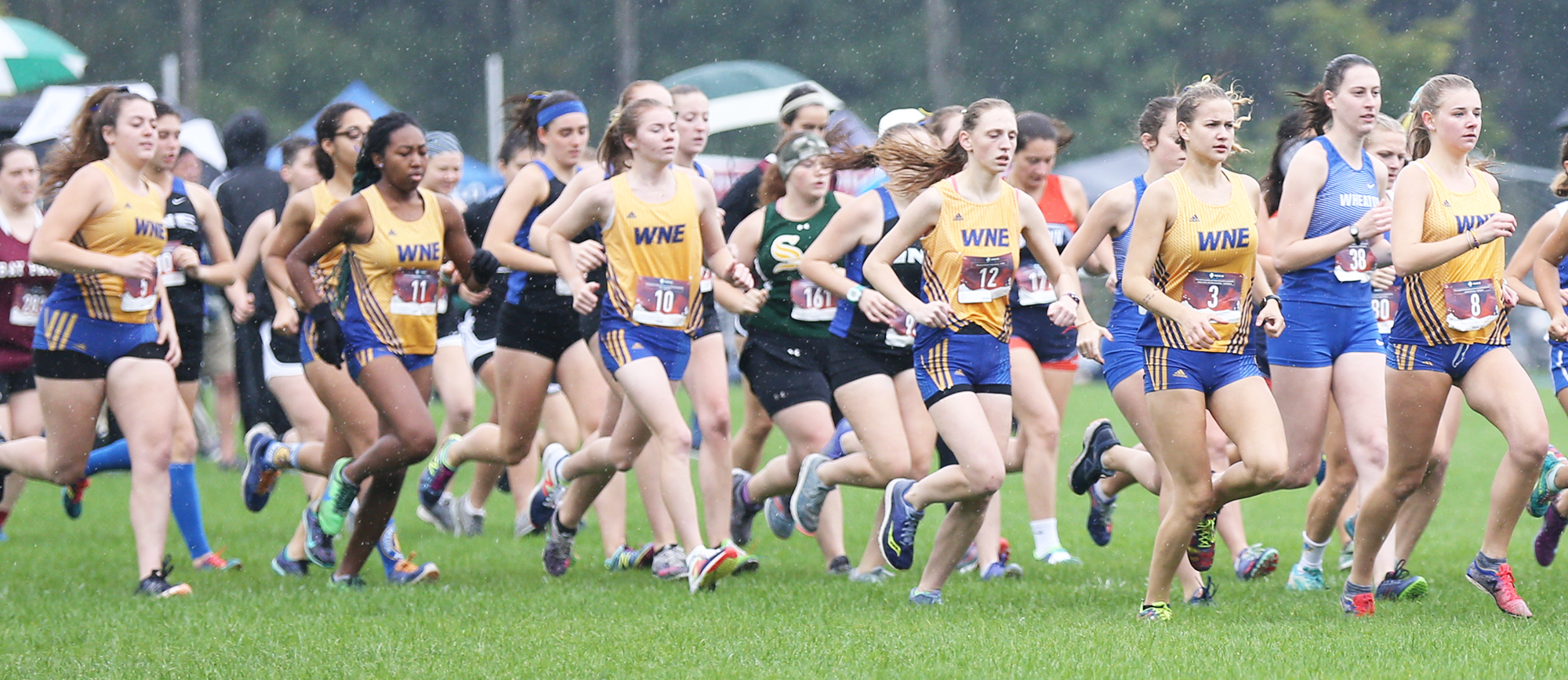 Western New England finished sixth in the eight-team field at the CCC Championship on Saturday. (Photo by Chris Marion)